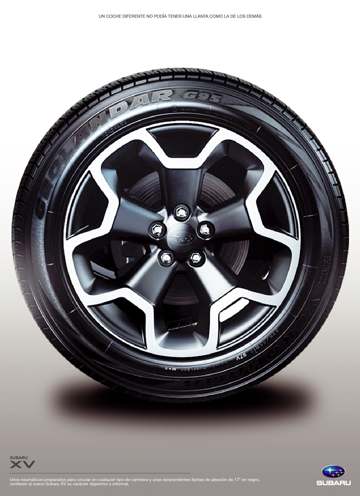 xv_rueda